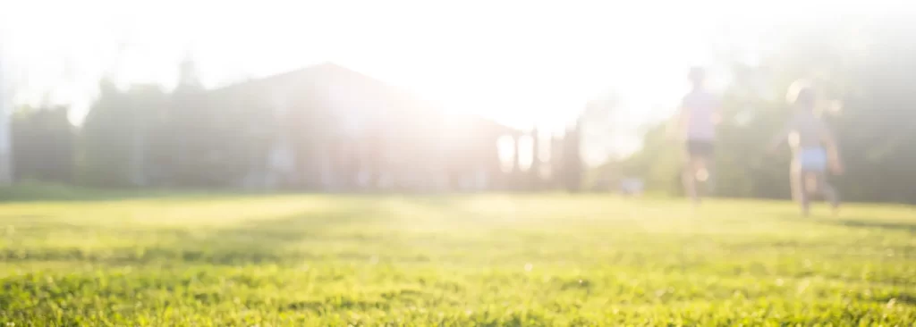 The Hunter Valley Homeowner’s Ultimate Summer Pest-Proofing Checklist