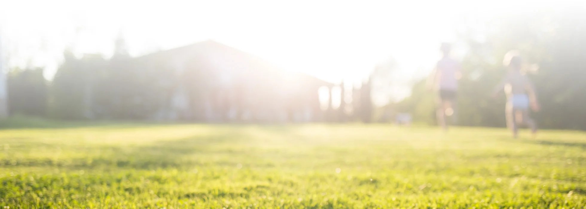 The Hunter Valley Homeowner’s Ultimate Summer Pest-Proofing Checklist