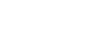Birdeye