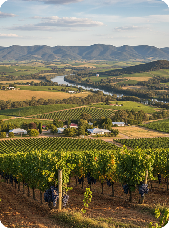 Singleton & Hunter Valley’s Trusted Pest Control Experts 