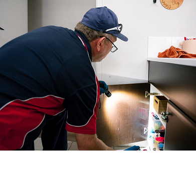 Termite Inspections