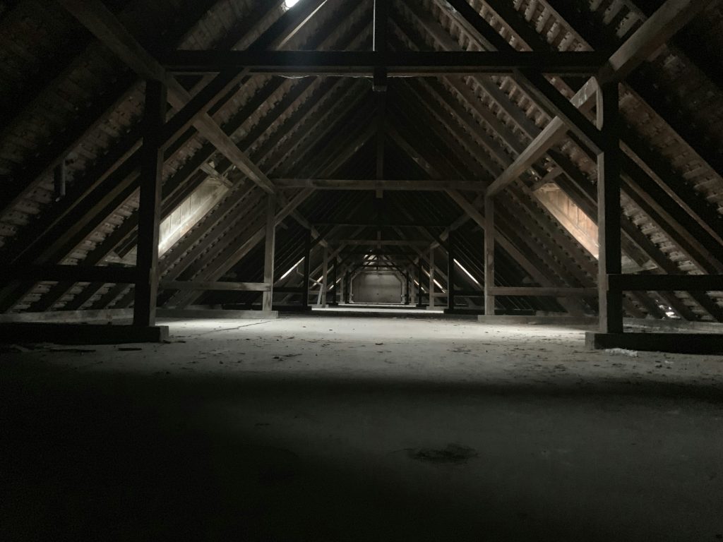 Roof void timbers during a termite inspection