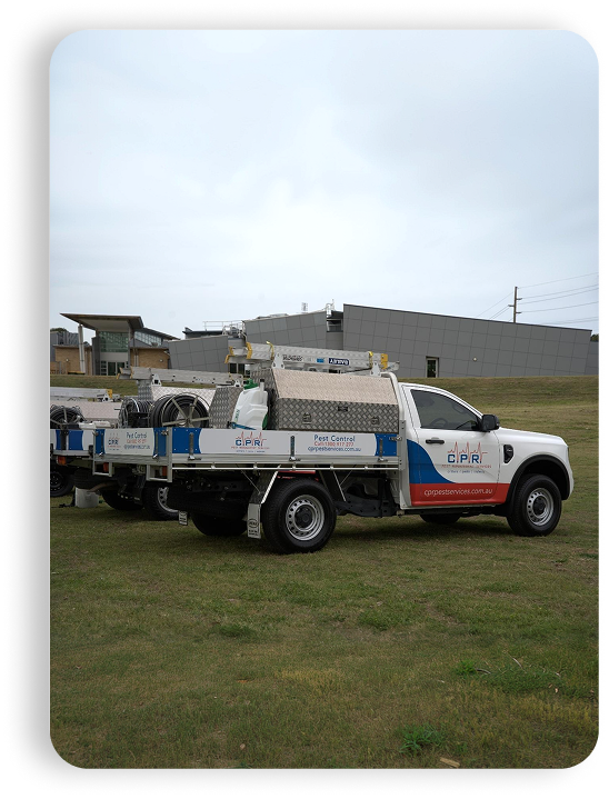 CPR Pest Management service ute