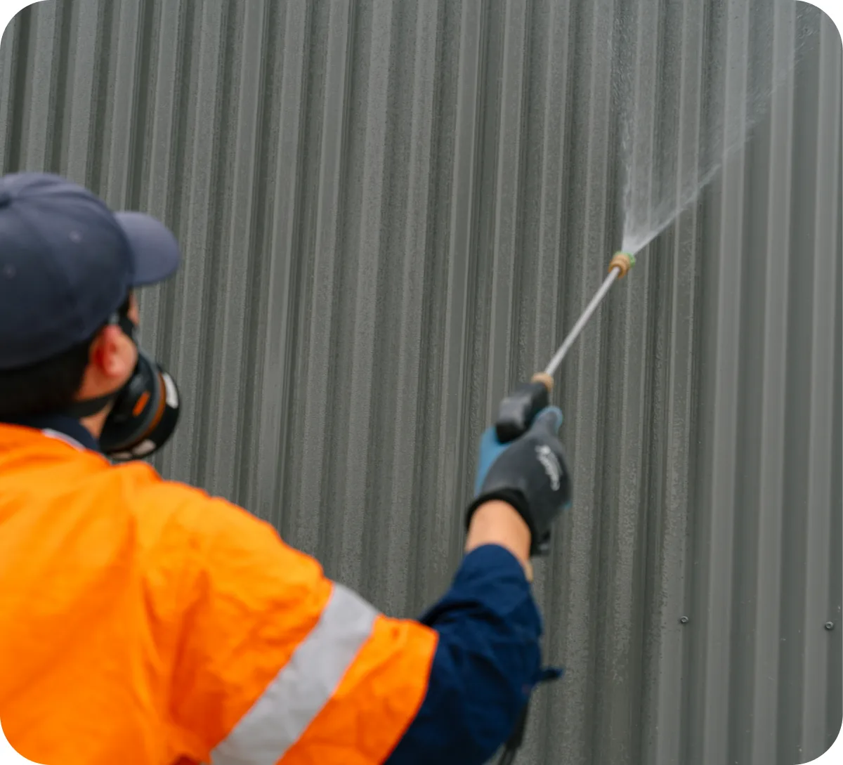 East Maitland pest control technician