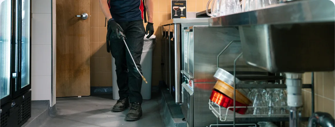 East Maitland pest control service