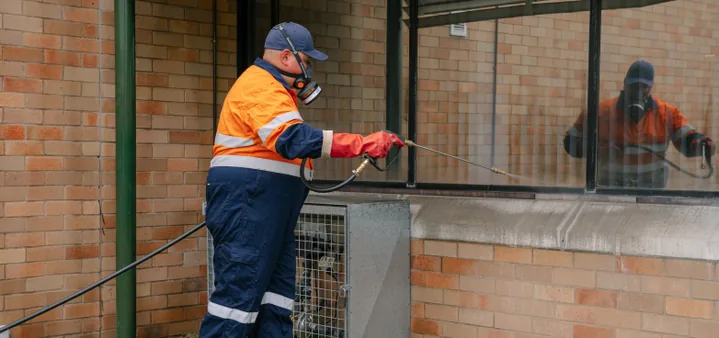 Singleton pest treatment